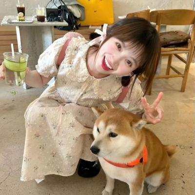 本和我